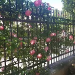 Appartamento Modenese 8